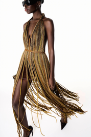 <transcy>VANESSA MAXI DRESS</transcy>