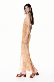 <transcy>VANESSA MAXI DRESS</transcy>