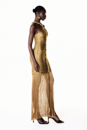 <transcy>VANESSA MAXI DRESS</transcy>
